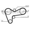 CONTITECH CT508 Timing Belt
